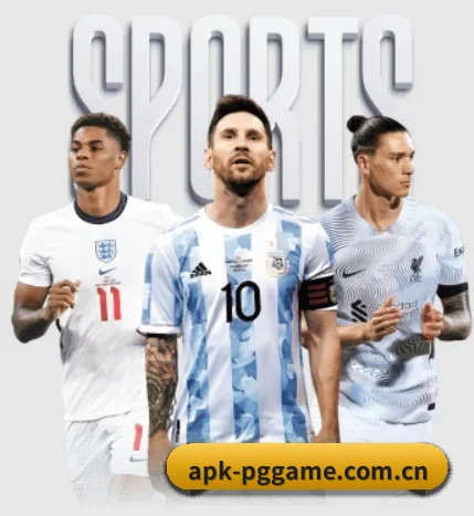 五大服务分区,信息按项目分类 | PG